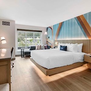 Cambria Hotel North Conway